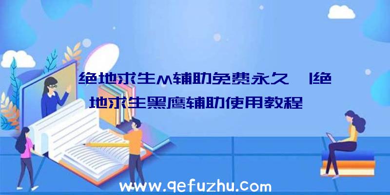 「绝地求生M辅助免费永久」|绝地求生黑鹰辅助使用教程